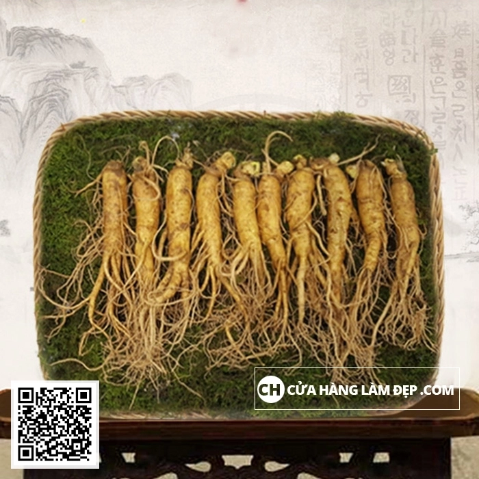 Nhân Sâm Tươi Hàn Quốc (1kg)