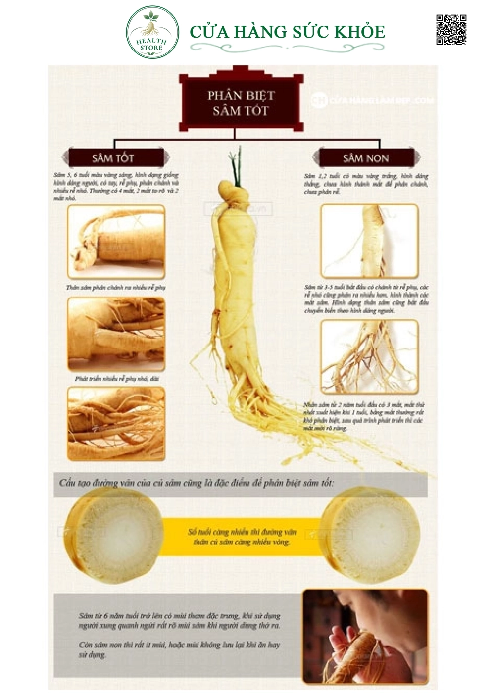 Nhân Sâm Tươi Hàn Quốc (1kg)