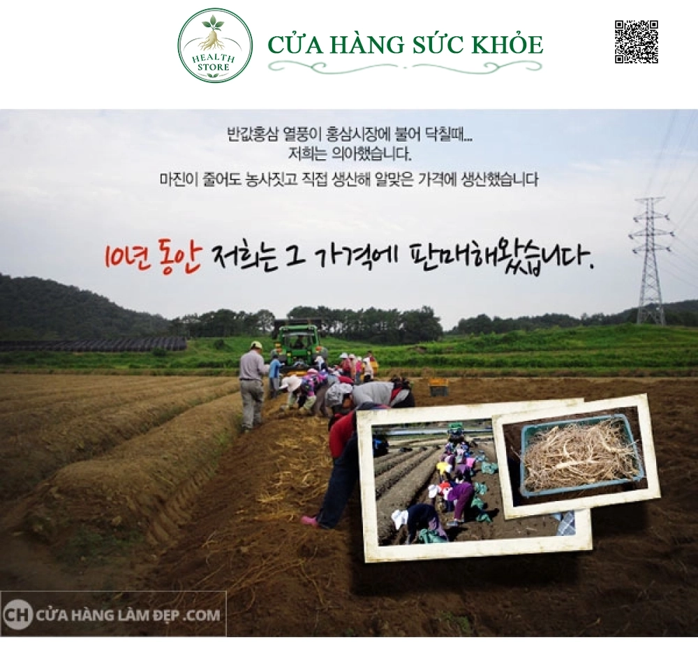 Cao Hồng Sâm Hoàng Đế Hàn Quốc (500gr)